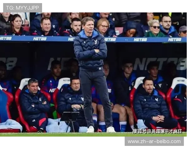 英超水晶宫主教练图：球队战略与战术安排