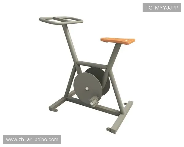 英派斯室外健身器材的使用与场所推荐 英派斯室外健身器材的使用与场所推荐