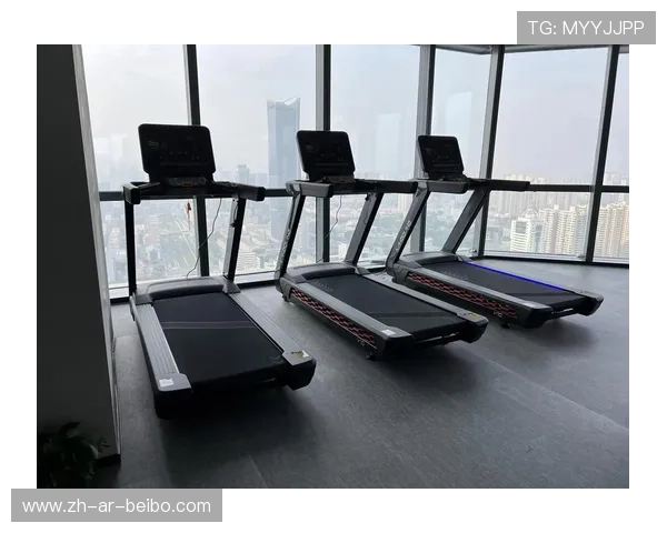 高效健身器材经销新策略：精准对接健身房与家庭健身市场